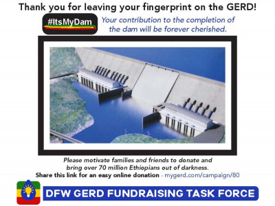 DFW GERD Fundraising TASKFORCE